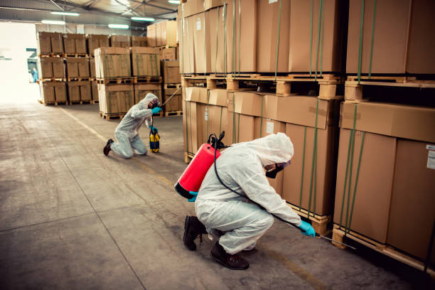 Best Mosquito Control Services  in Emah, OK