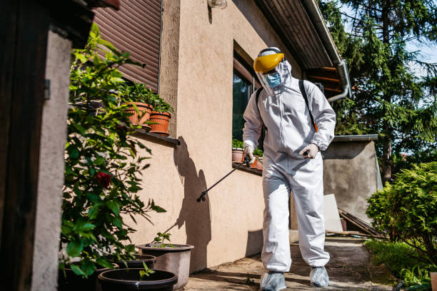 Best Pest Removal Services  in Emah, OK