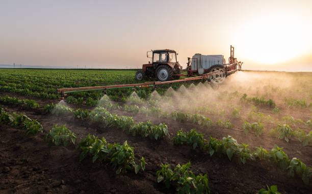 Pest Prevention Services in Okemah, OK