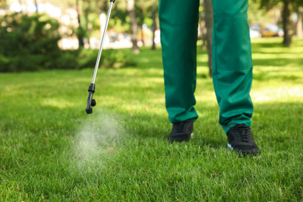 Wildlife Control Services in Okemah, OK