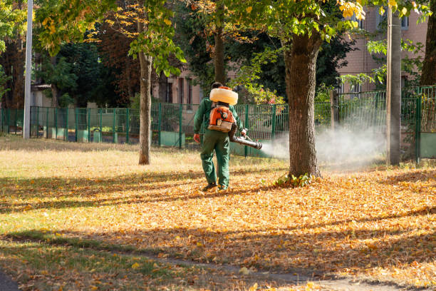 Best Pest Prevention Services  in Emah, OK