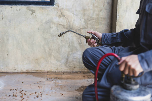 Best Best Pest Control Companies  in Emah, OK