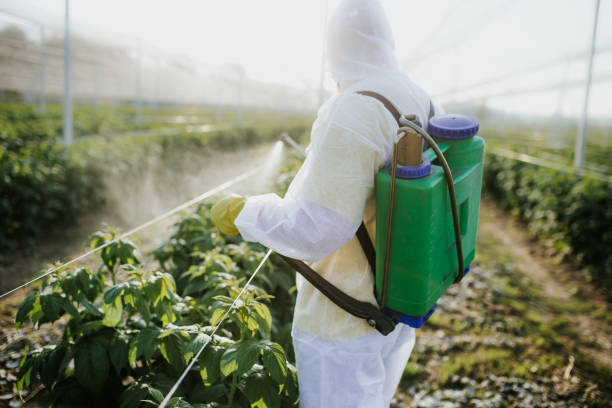 Best Bed Bug Extermination  in Emah, OK